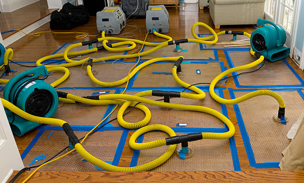 Professional Burst Pipe Water Damage technician working in Minot, ME